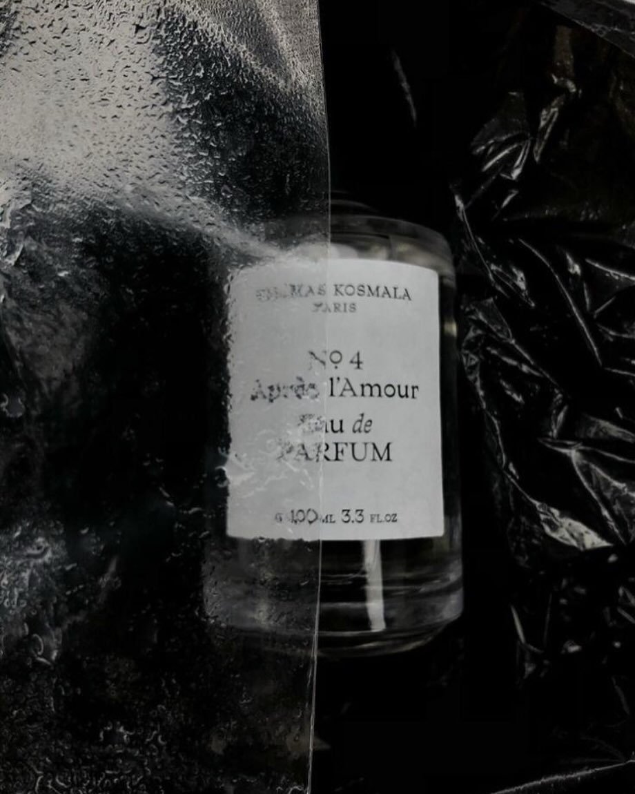 473174977_593212060092824_6535225627422004489_n