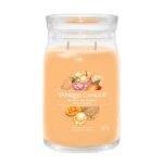 Yankee Large – Mango Ice Cream