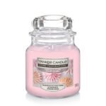 Yankee Small- HI Sugared Blossom